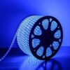 Waterproof LED Strip Rope SMD Roll Light 5 Meters Blue - LXINDIA.COM